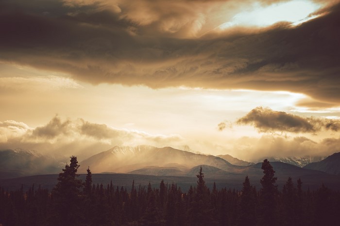 pine trees, landscape, clouds, mountains, sunlight, nature, forest