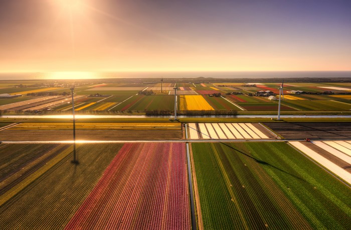 4K, Netherlands, outdoors, landscape, nature, warm light, field, sunset, photography