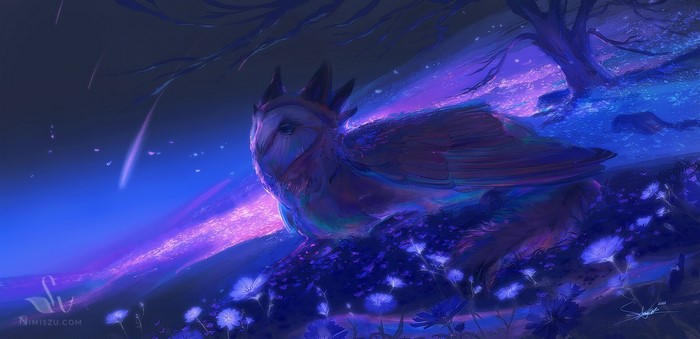 digital, night, Nimiszu, owl