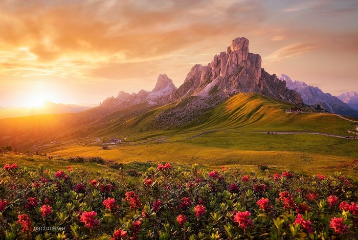 nature, grass, flowers, hills, sky, horizon, sunlight, Carsten Bachmeyer, landscape, cliff, clouds, sun rays