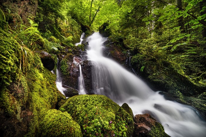 landscape, stones, waterfall, forest, nature, Robert Didierjean, long exposure, grass