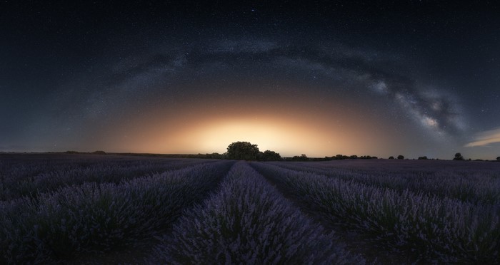 sky, field, night, stars, landscape, Milky Way, horizon, lavender, nature, Jorge Ruiz Dueso
