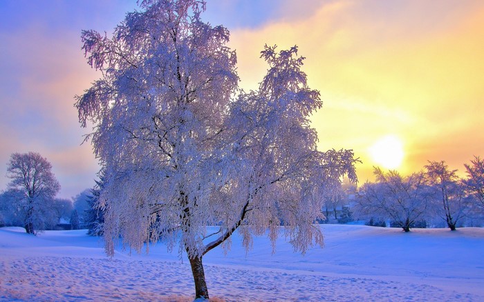 cold, snow, nature