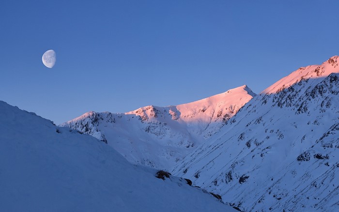 nature, cold, snow