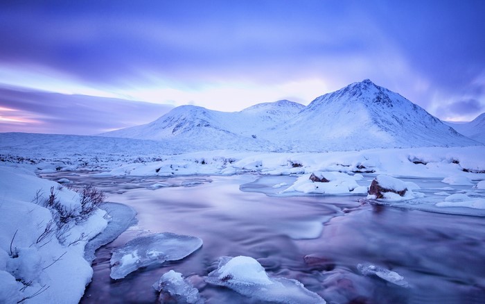 snow, cold, nature