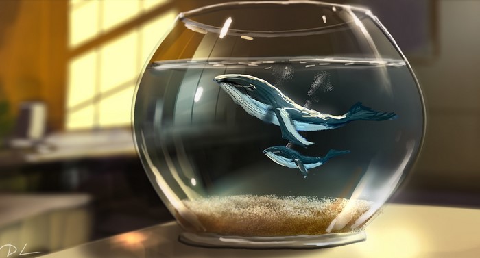 animals, whale, aquarium, artwork