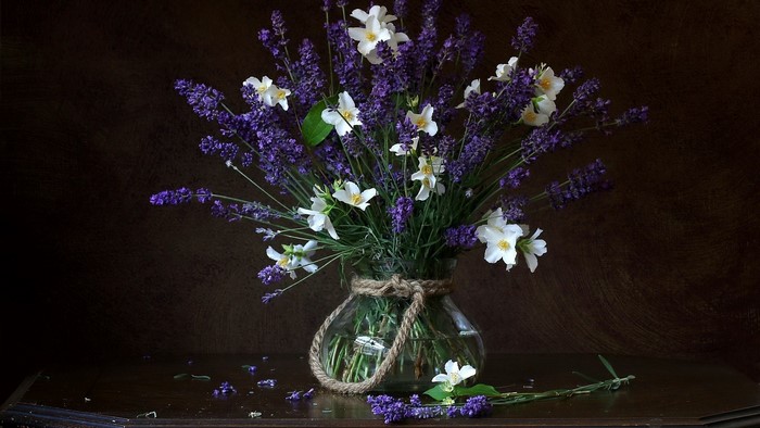 simple background, plants, still life, white flowers, flowers, vases