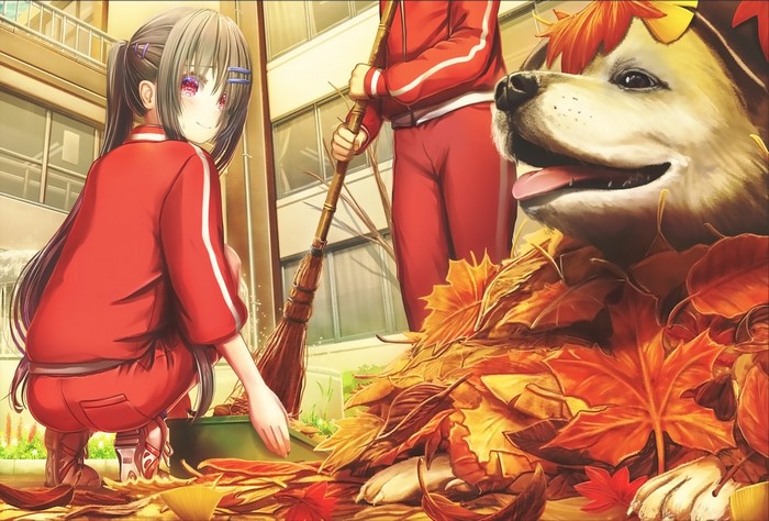 dog, fall, red eyes, broom, hair pins, gym clothes, ponytail, Maple leafs, schoolgirl, anime girls