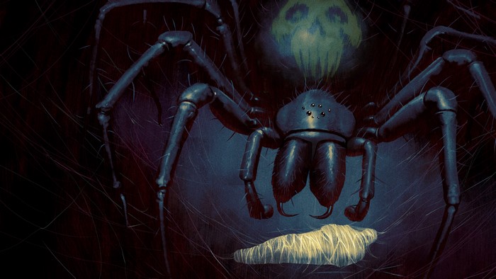 4K, horror, illustration, creature, artwork, creepy, spiderwebs, animals, spider, Arachnid