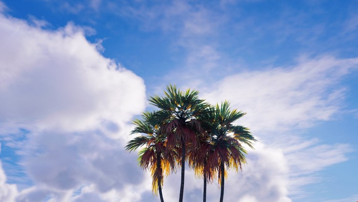 clouds, blue, Africa, Egypt, summer