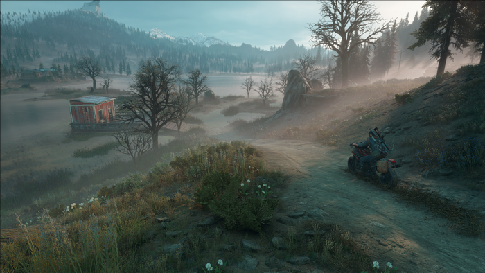 Deacon St John, Days Gone, screen shot