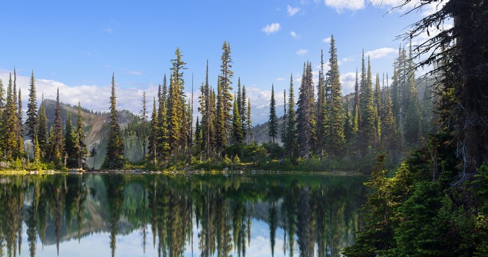 4K, forest, landscape, water, ArtStation, mountain pass
