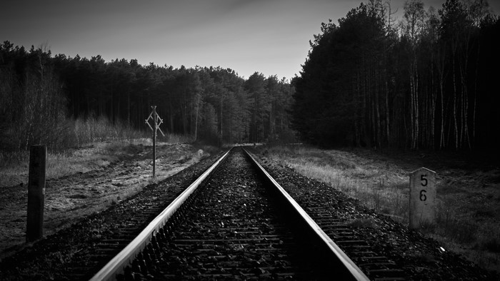 railway crossing, monochrome, landscape, railway