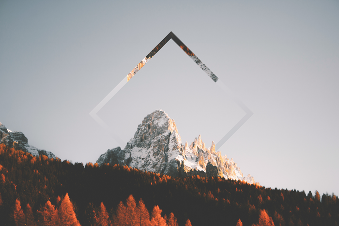 4K, collage, mountains, forest, snow
