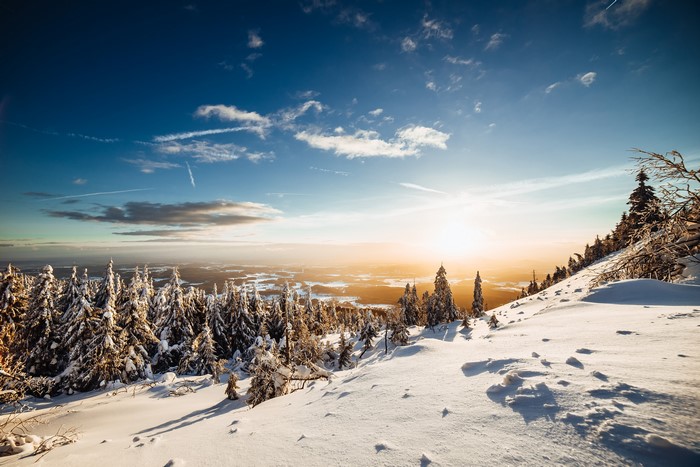 4K, trees, winter, mountains, nature, snow, sky