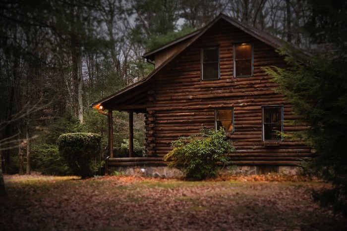trees, nature, fall, idyllic, cabin, forest