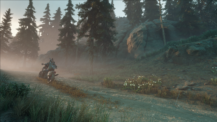 screen shot, Days Gone, Deacon St John