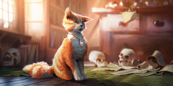 skull, digital art, Morten Solgaard Pedersen, cats, fantasy art
