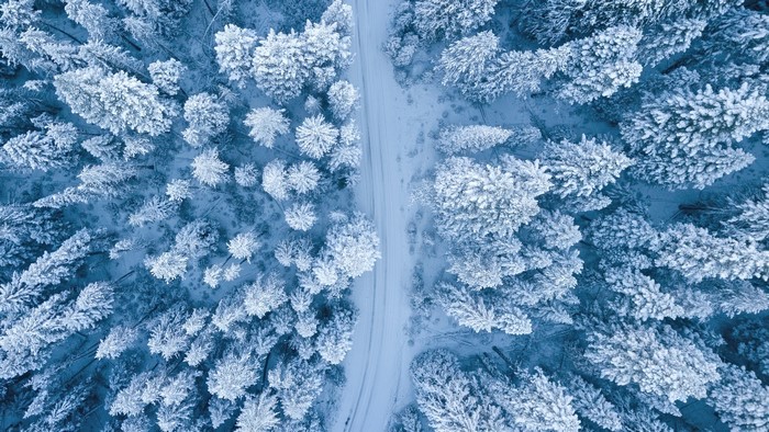 aerial view, winter, trees, forest, road, snow, nature