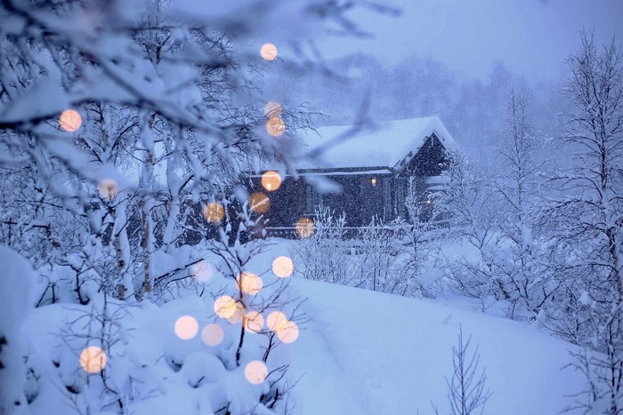 forest, snow, bokeh, cottage, blue, winter