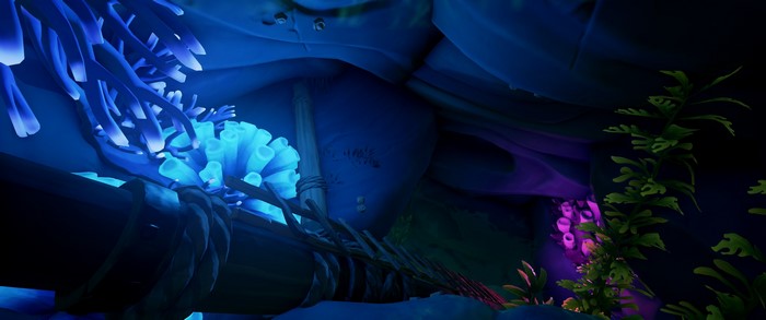 coral, underwater, Sea of Thieves