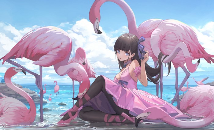 anime girls, flamingos, anime, long hair, Nekojira, bangs, dress, ballerina, sitting