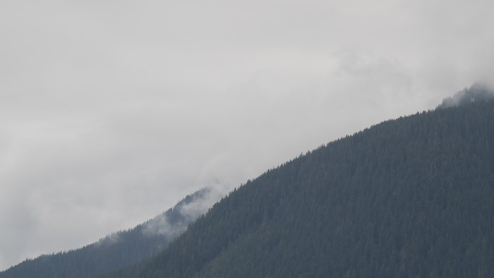 landscape, hills, mist, mountains, forest