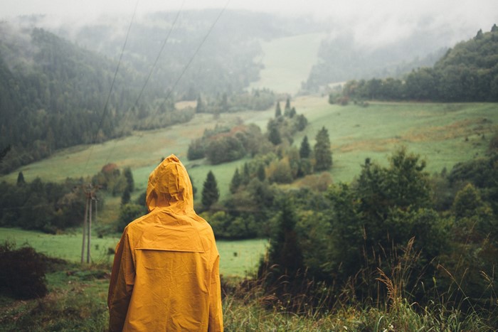 rain, gloomy, mist, town, dark, forest, trees, raincoat, nature, village, green, mountain top