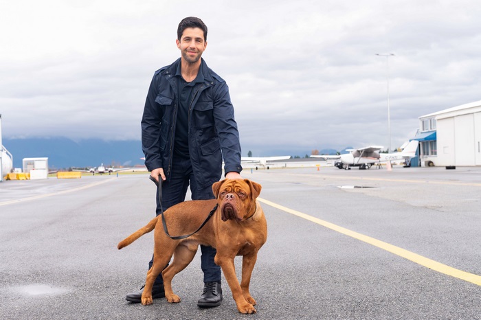Josh Peck with Dogue de Bordeaux on tarmac