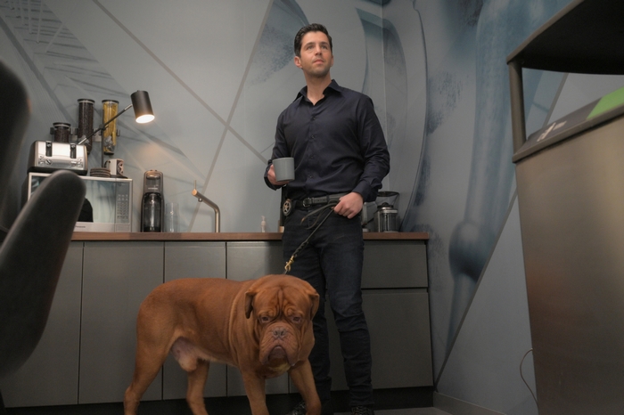 Josh Peck and Dogue de Bordeaux