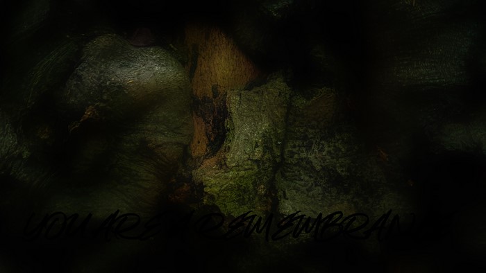 4K, abstract, nature, plants, eco