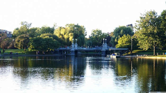 4K, park, bridge, nature, urban