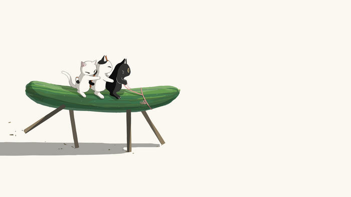 avogado6, Cucumber, cats