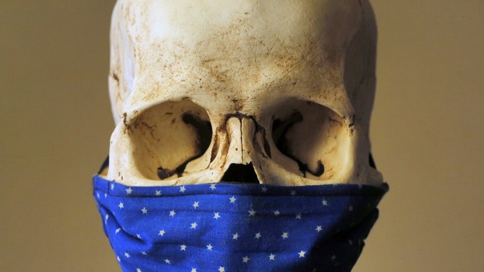 skull, simple background, pandemic, death, mask
