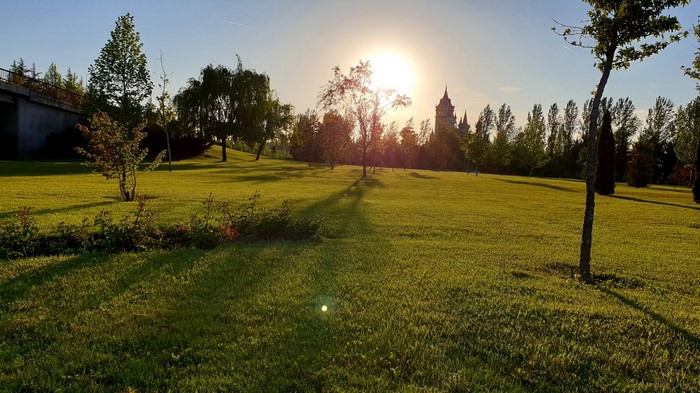 park, outdoors, trees, sunlight