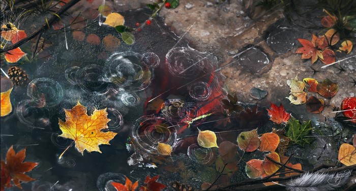 fall, leaves, rain, digital art, Max Suleimanov