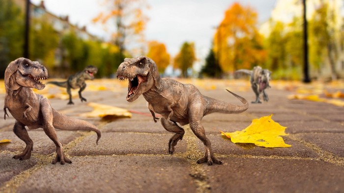 Tyrannosaurus rex, dinosaurs, animals, miniatures