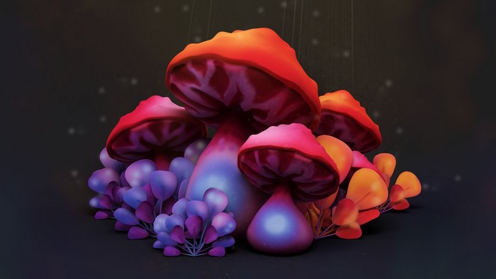 digital art, mushroom, artwork