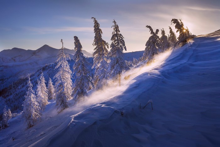winter, nature, snow, ice, landscape, trees, cold