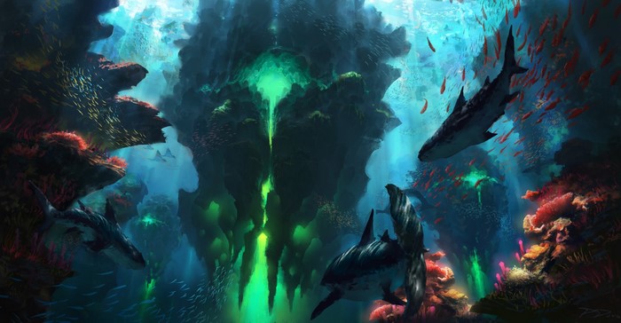 coral reef, underwater, Piotr Dura, shark, green