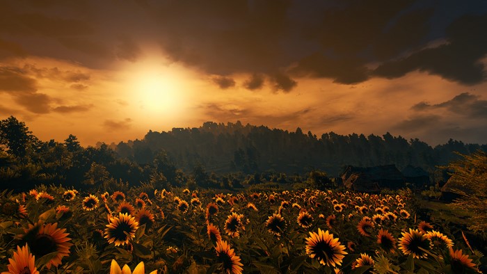 4K, Velen, Geralt of Rivia, Ard Skellige, The Witcher, The Witcher 3: Wild Hunt