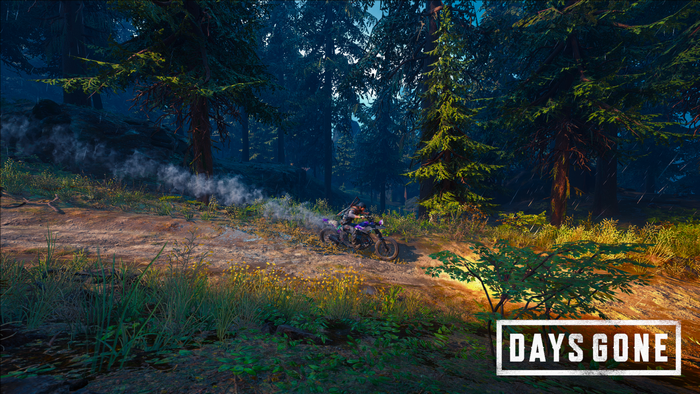 Days Gone, PC gaming