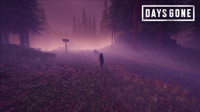 Days Gone, PC gaming