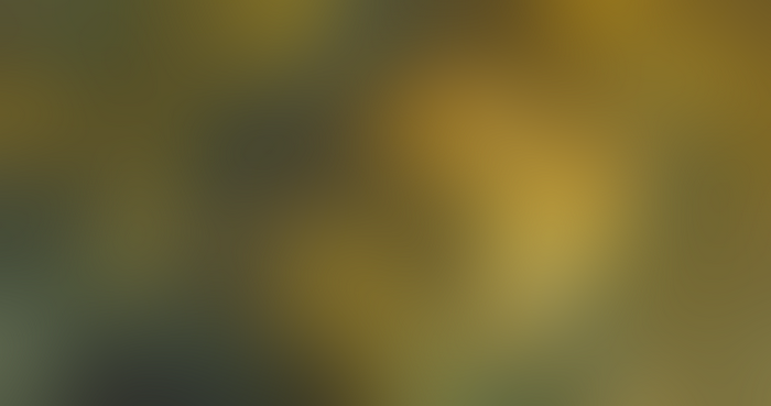 4K, colorful, gradient, blurred