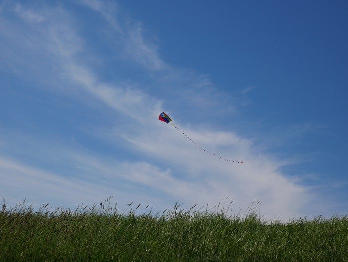 4K, nature, grass, outdoors, kite