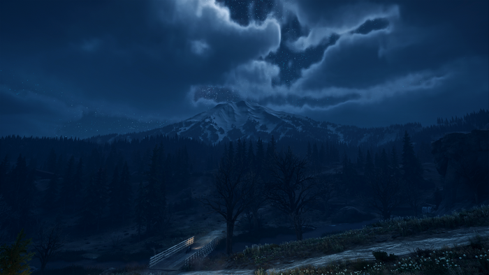 snow, video games, Days Gone, bend studios, mountains, landscape, night, digital art, reshade, forest
