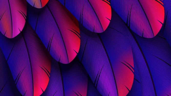 texture, artwork, feathers, colorful, abstract