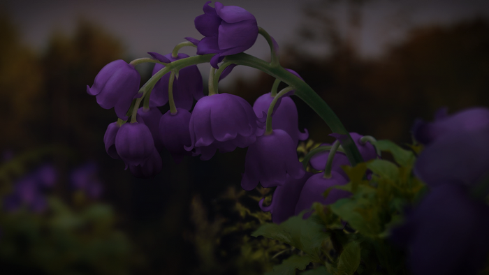 flowers, Castlevania (anime), nature
