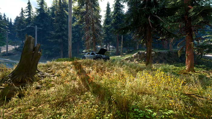 game art, digital art, video games, bend studios, zombies, apocalyptic, forest, Days Gone, reshade, nature