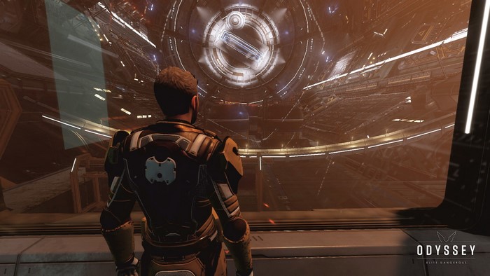 Space Simulator, video games, video game man, screen shot, Elite: Dangerous, space station